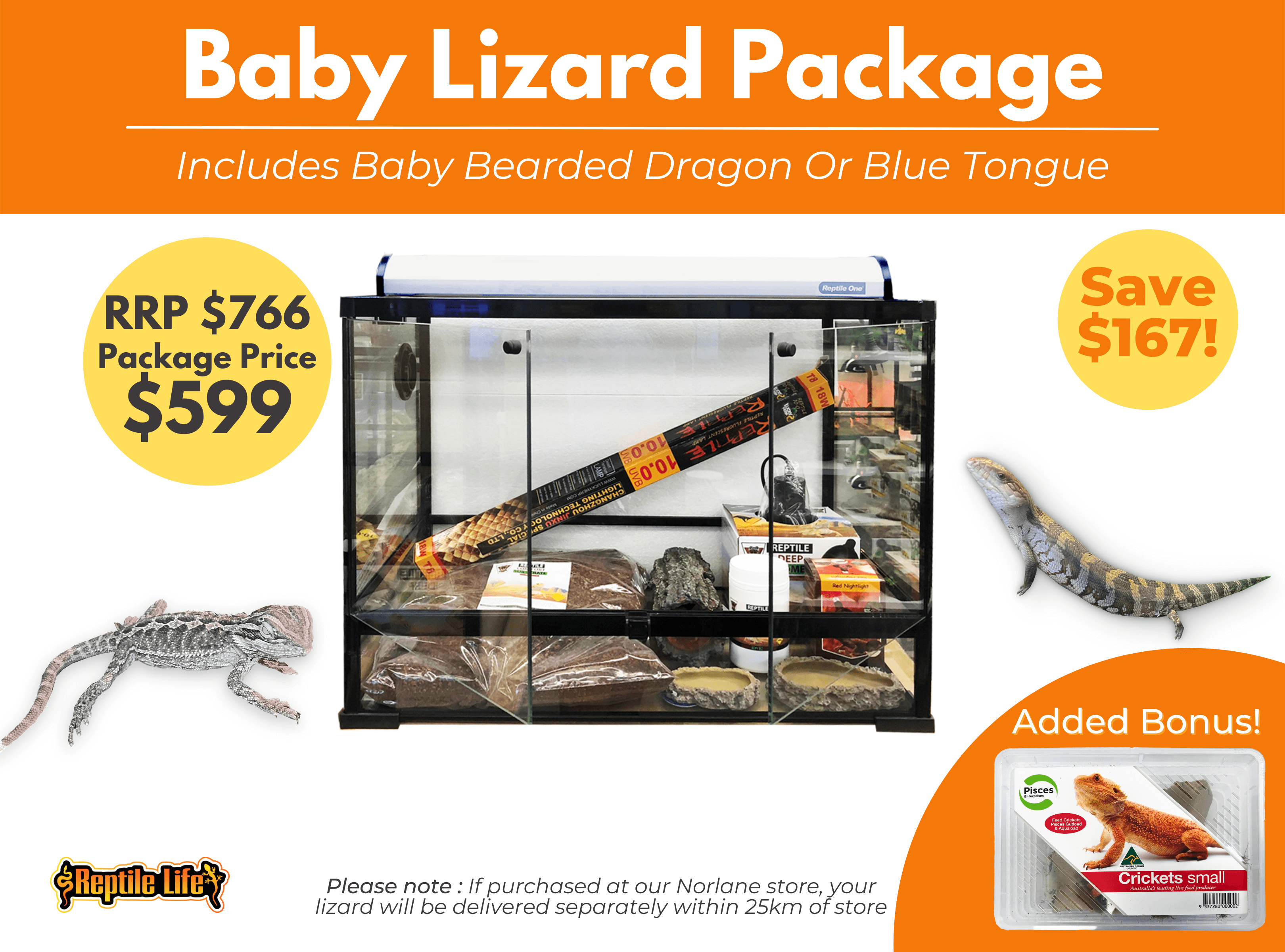 Baby Lizard package extended