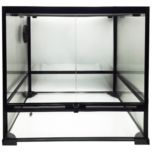 Lizard enclosure for sales sale