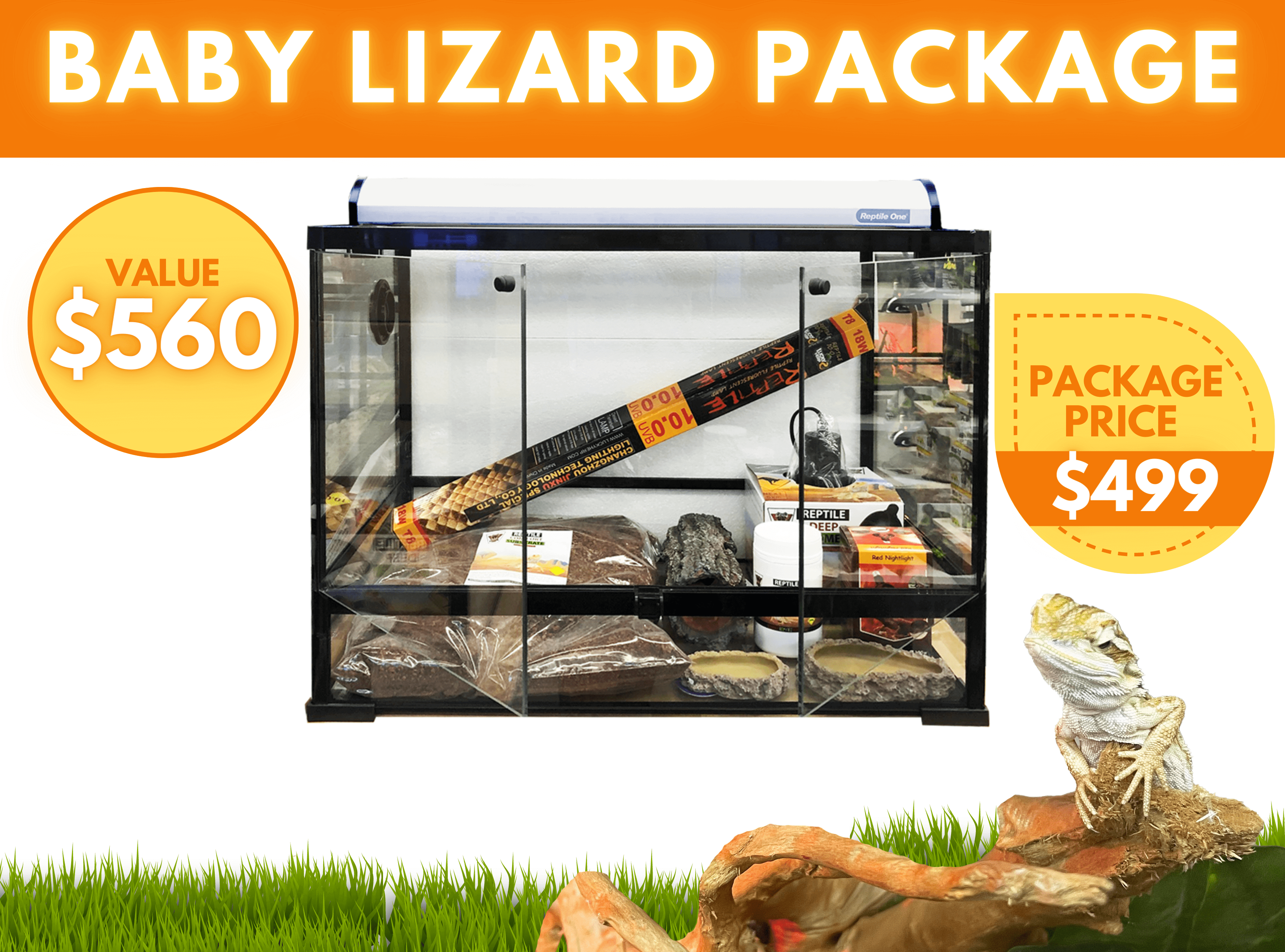 Baby_Lizard_Package1