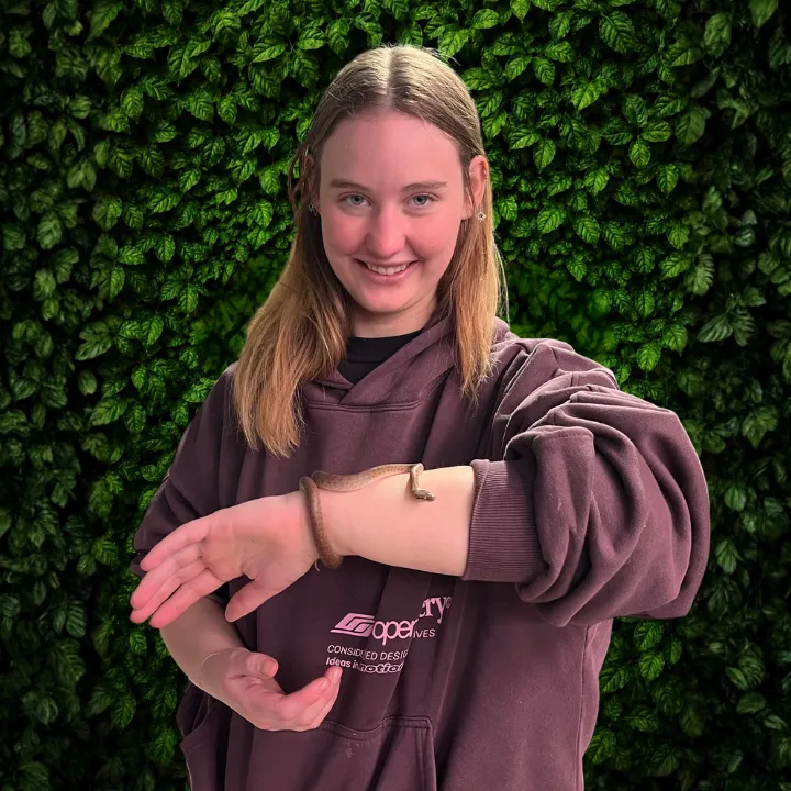 GB - Karly And Danger Noodle Childrens Python